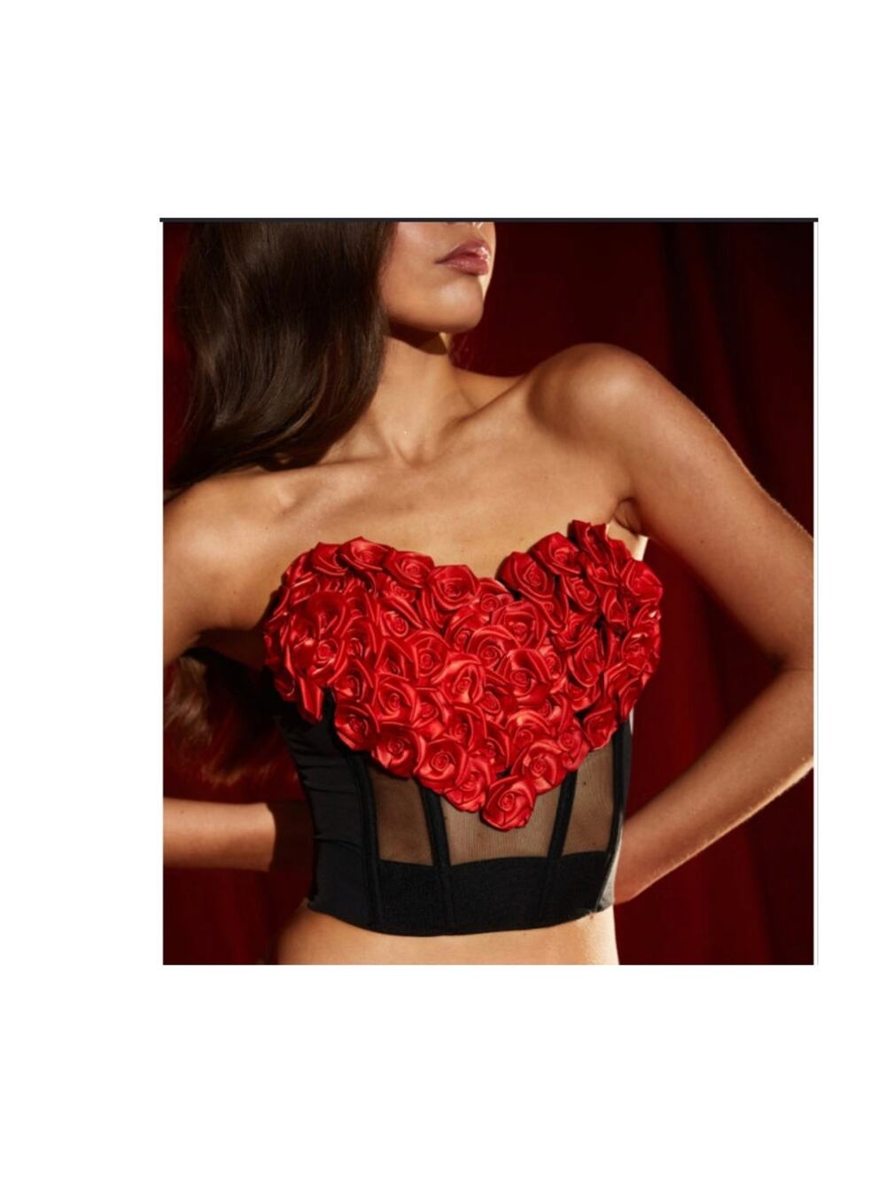 NWT Victoria's Secret Archives Rosette Corset Top M DD